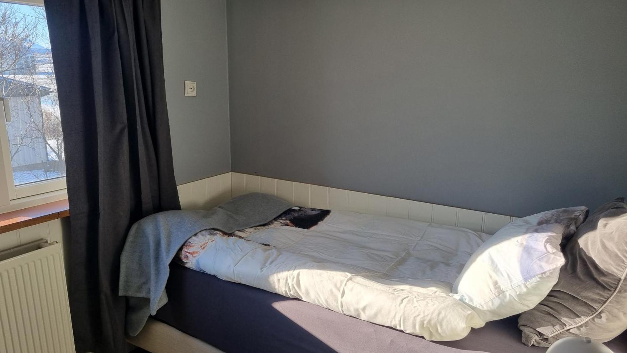 Fornilaekur Guesthouse Blonduos Bagian luar foto